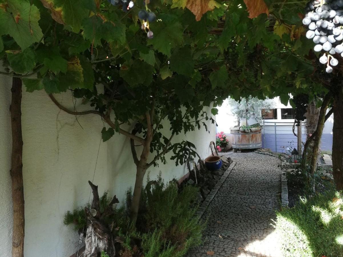 Haus Bienen Ihringen Exterior foto
